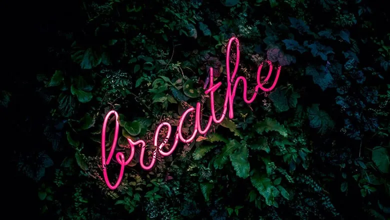 Pink neon sign reading “breathe” on a wall of leaves